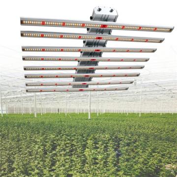 Planta de cultivo hidropónico de alta potencia con luz de cultivo 600W