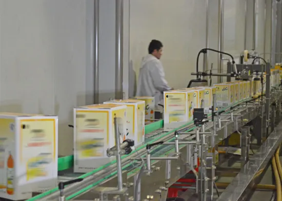 Roller Case Conveyor System For Carton, Plastic Film, Plastic Crates 6000 Bph - 48,000 Bph