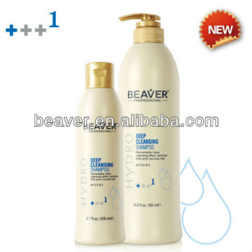 BEAVER Hydro expert hair salon scalp care