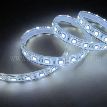 60led/m cold white waterproof strip led smd 5050 12000k