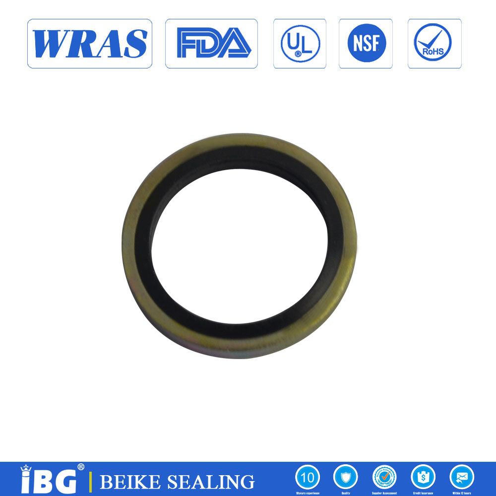 Rubber Bonded Seal Ring
