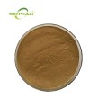 Natural Cactus Extract powder