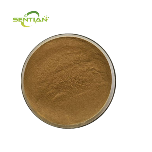 Natural Cactus Extract powder