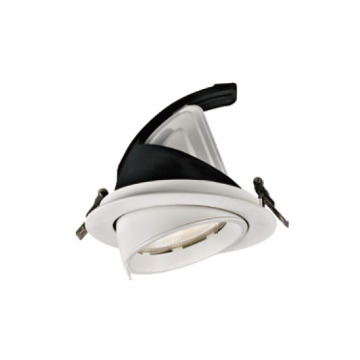 Solución de iluminación LEDER Downlight LED de 34W