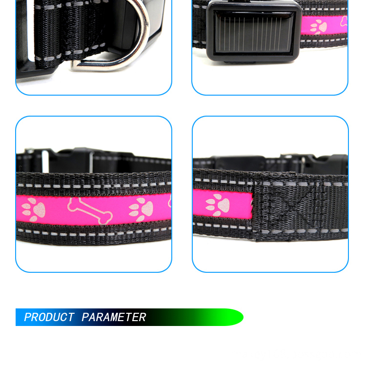 Led Shinning Dog Collar