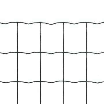 Powder coated Dutch Weave Euro wire mesh fencing