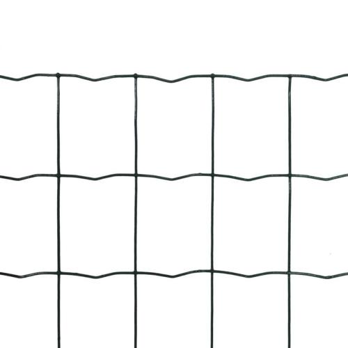 Powder coated Dutch Weave Euro wire mesh fencing