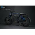 Powerful electric bike 48V 1000W ebike