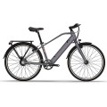 Vélo électrique personnalisé de 26 pouces