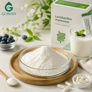 Lactobacillus Rhamnosus for Dietary Supplements