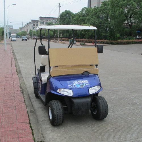 Venda carrinhos de golfe a gás de 2 lugares