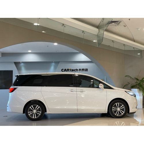 2022 Buick GL8 ES Luxury 653T Exclusive Edition