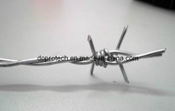 Double Twist Galvanized Barbed Wire (DP-BW)
