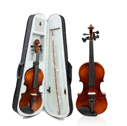 The best violin for advanced players