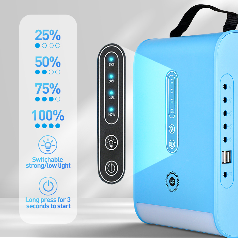 Portable Solar Home Lighting System with LED Bulbs