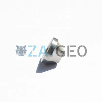 Waterjet Cutter Head Parts Dardi Sp7: Nozzle Orifice Replacement (731010128, K0599053, 731010075, K0599074)