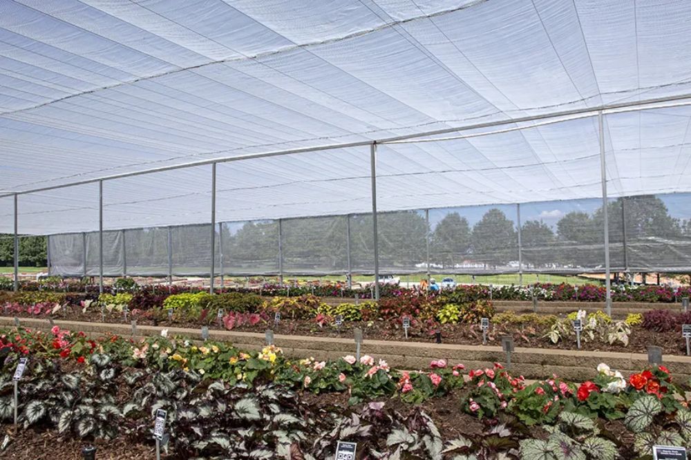 85% silver Aluminum foil agrictural sunshade