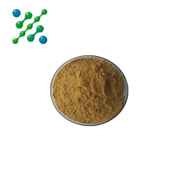 High-Potency Schisandra Extract 1.5% Alcohol