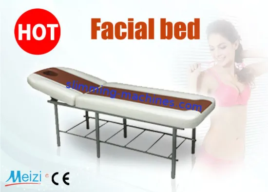 Professional Spa Facial Beauty Equipment Portable Facial Bed With Cushion Hole