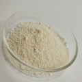 High quality pumpkin seed protein powder
