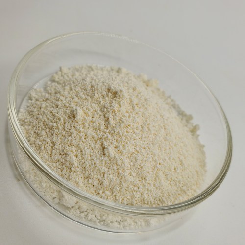 High quality pumpkin seed protein powder