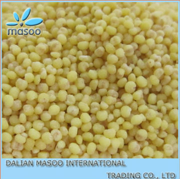 2012 New Crop, china millet,non-glutinous millet, with high quality..