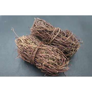 Trà thảo dược Ji Gu Cao cho sức khỏe cơ thể