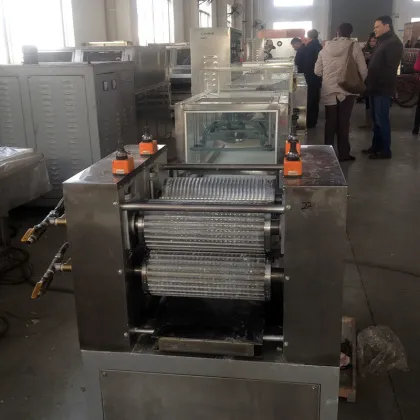 Sugar Free Xylitol Chewing Gum Plant