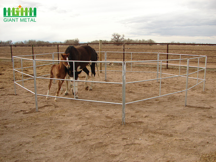 cheap horse fence panels