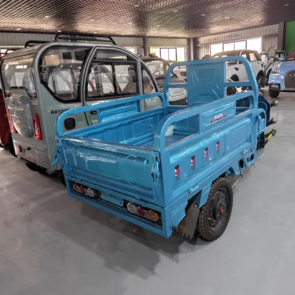 Adult Electric Cargo Tuk Tuk Tricycles - Price and Motorized Options