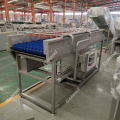 Brush roller washing machine