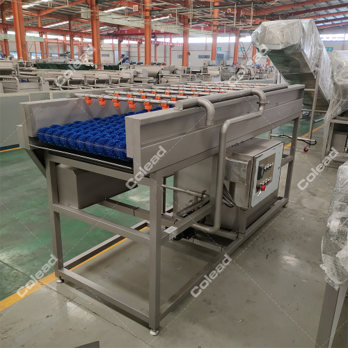 Automatic continuous washing machine with brushes
