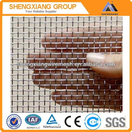 Electro/Hot-dip Galvanized Iron Wire Mesh