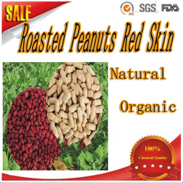 shandong peanuts (all sizes) health food dry roasted peanuts/red skin peanut kernels dry roasted peanuts/red skin peanut kernels