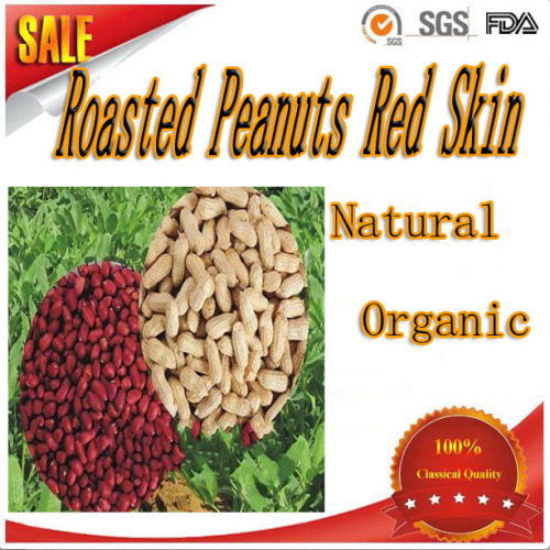 shandong peanuts (all sizes) health food dry roasted peanuts/red skin peanut kernels dry roasted peanuts/red skin peanut kernels