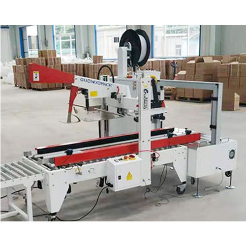 LINED CARTON PACKING MACHINE 2023