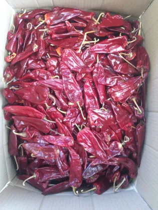 120 asta paprika pods