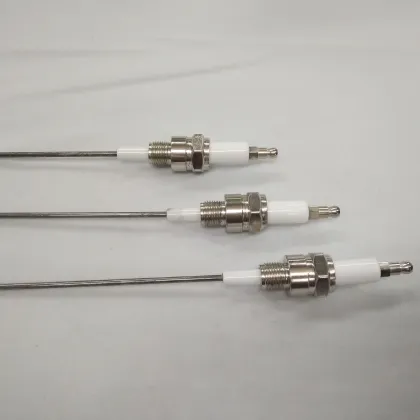 Beru Used Customized Electrode Spark Plug Ceramic Igniter