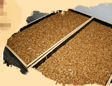 High In Protein Chicken Feed