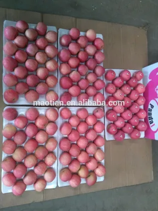 High quality crisp & juicy fresh fuji Apple of year 2015 crop