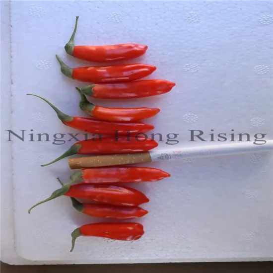 Ningxia factory wholesale bulk dried organic goji berry