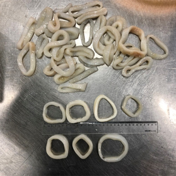 Frozen Squid Rings Dosidicus Gigas Squid Rings