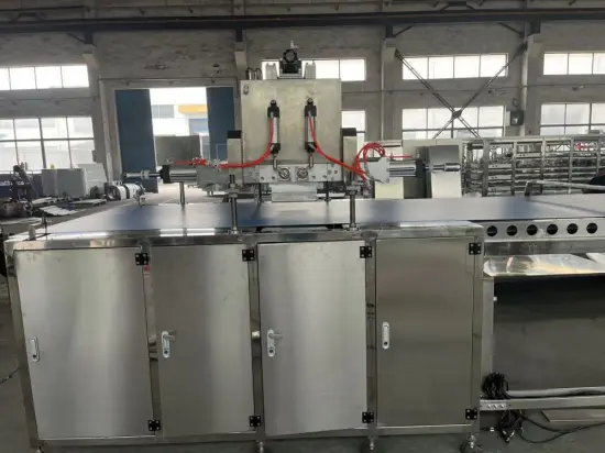 Lejoy Chocolate chip depositing machinery