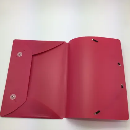 Custom Promotional Document Folders