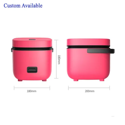 Best OEM Mini MK1 Rice Cooker