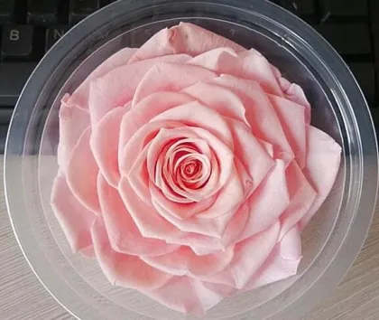 Best Gift: Forever Preserved Colorful Rose Bouquet