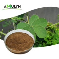 Semen Cassia Seed Extract Powder For Weight Loss