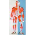 /msite/products/detail/productid/63627692/id/1517769.html