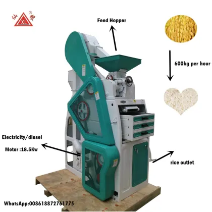 500-600kg/h Small Scale Combined Rice Mill for Philippines