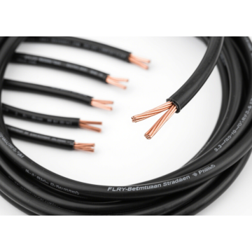 FLRY-B Flame-Retardant Car Cable